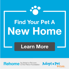 rehome